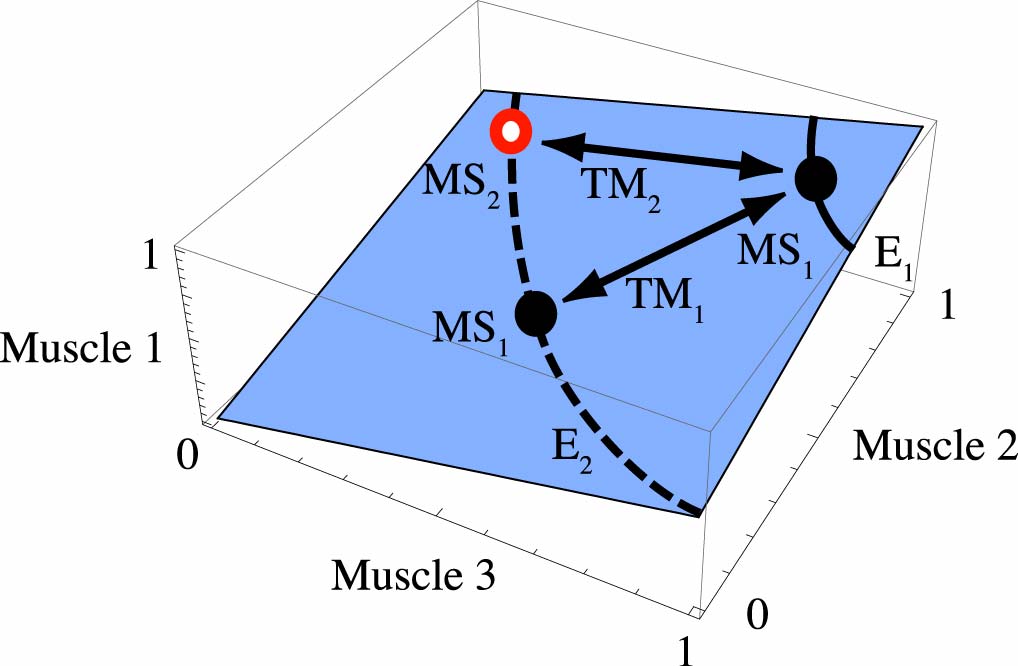  - Muscle-Force-Space-Digest