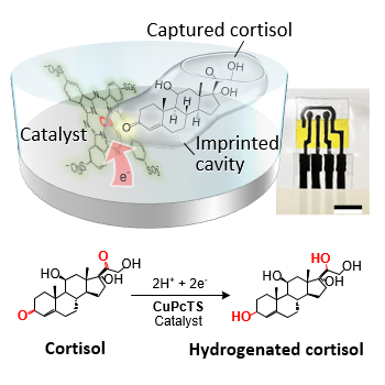 Enzyme-mimic biosensor enables cortisol detection via electrocatalytic reduction