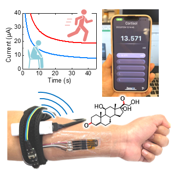 Wearable biosensor enables direct detection of sweat cortisol and DHEA