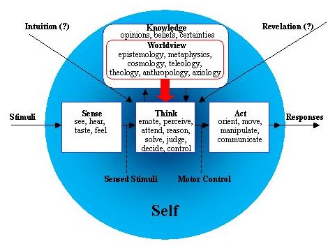 7 Worldviews Chart