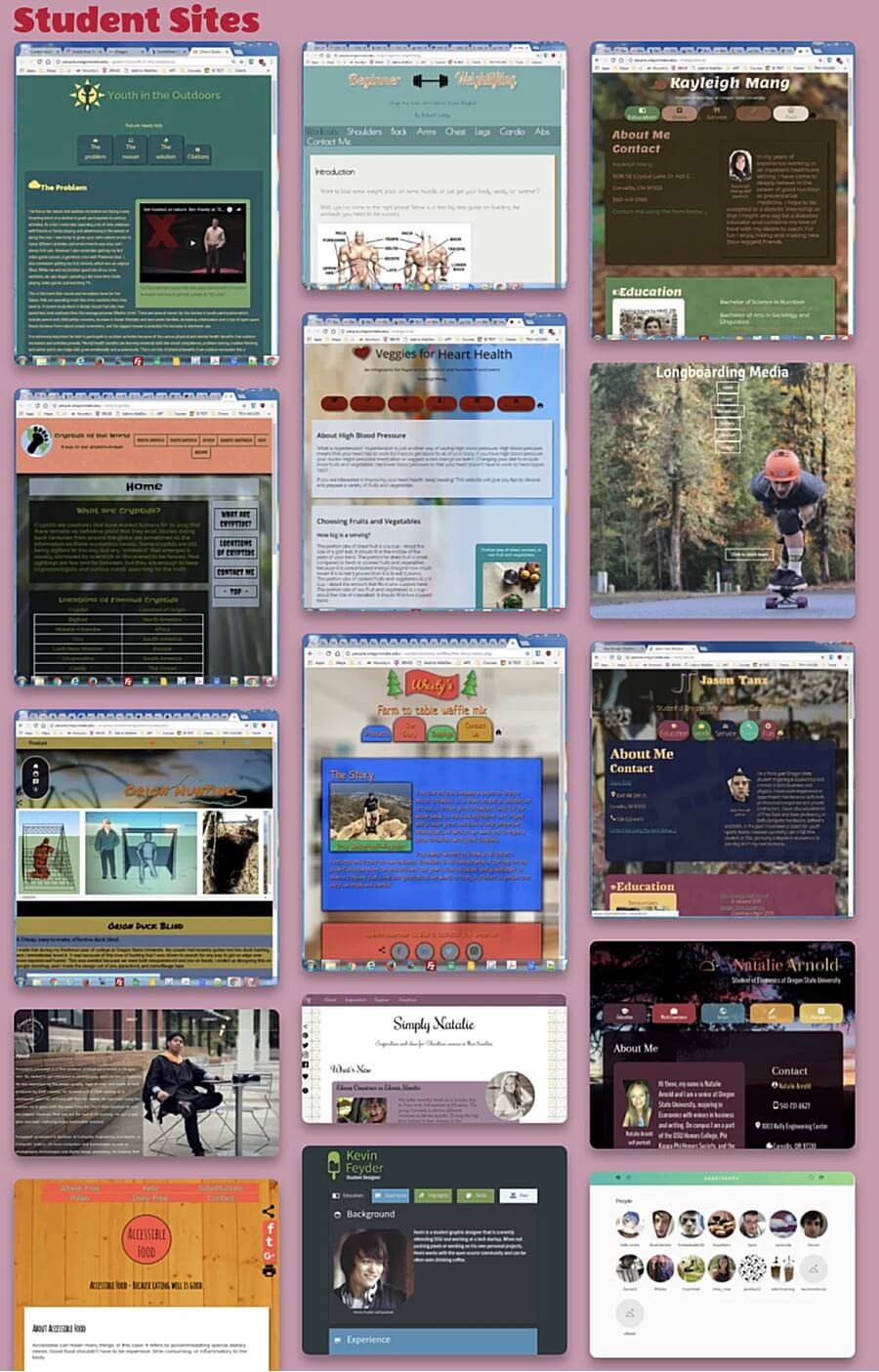 A sample of sites designed by students at OSU.