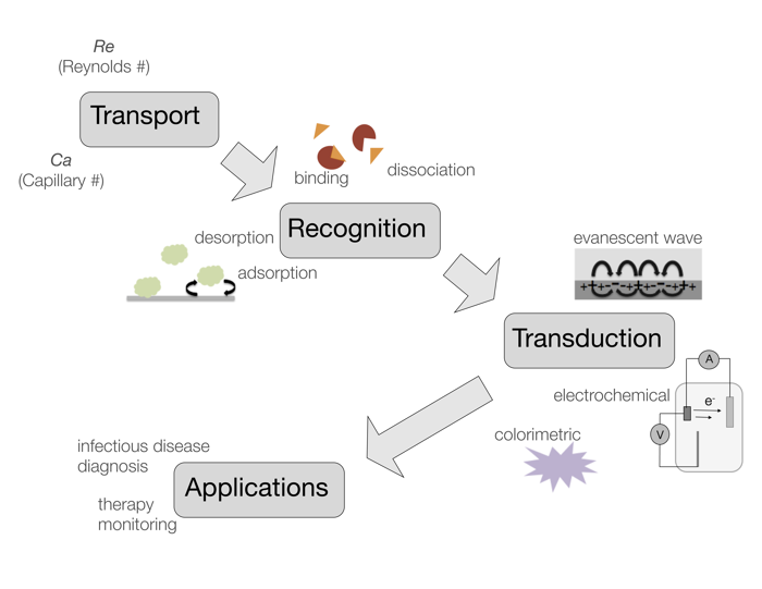 Fu lab research