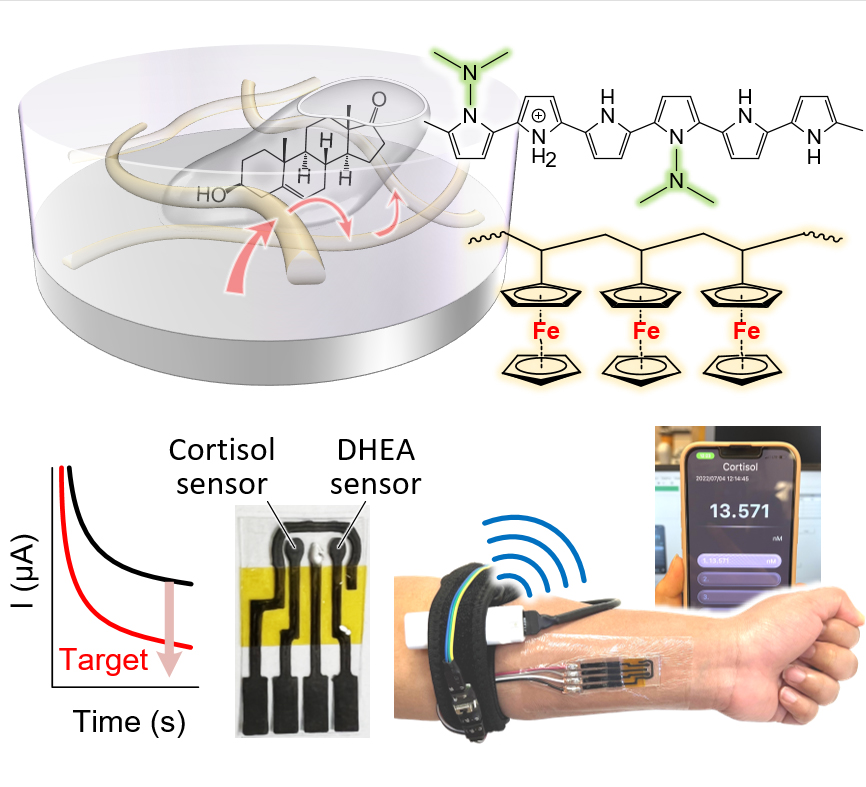 Enzyme-mimetic cortisol sensing and wearable stress profiling