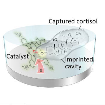 Enzyme-mimic biosensor based on electrocatalytic molecularly imprinted polymer