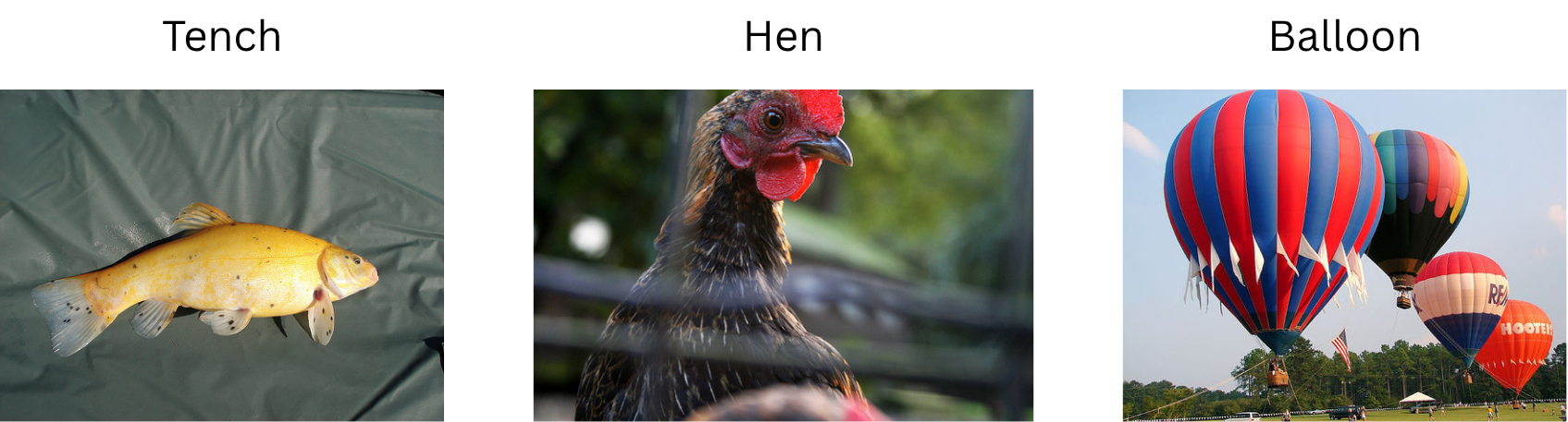 Images containing various objects are arranged in a row, each labeled according to the object they contain.