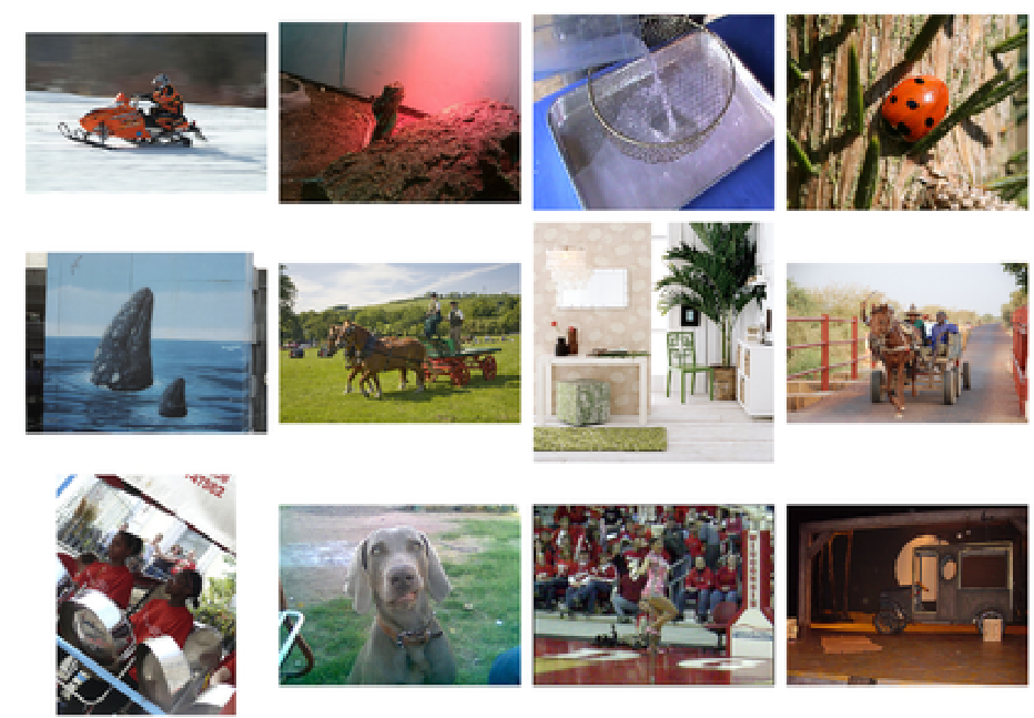 Several examples images from ImageNet are arranged in a grid, including a snowmobile, and more.