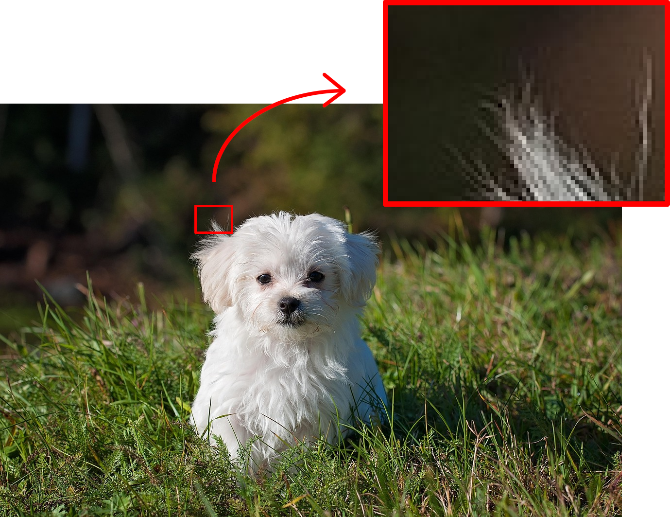 A zoom-in view of the pixels making up the fir of a dog in an image