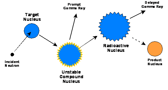 Irradiation and Decay