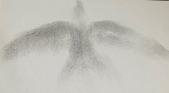 This is a bird I drew in an art class I took, one I'm impressed with beacuse I am not much of an artist. I have atrocious handwriting and this came out much better than I had thought.