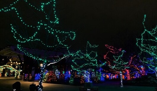 Indianapolis Zoo Christmas lights