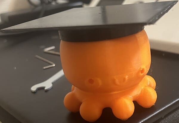 3D print of a Grad Octopus Container
