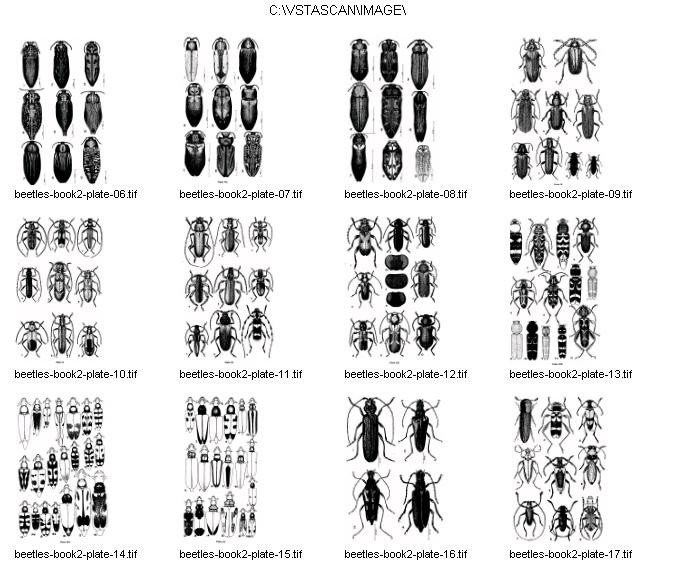 Biometrics Research Group - Computer Science and Engineering